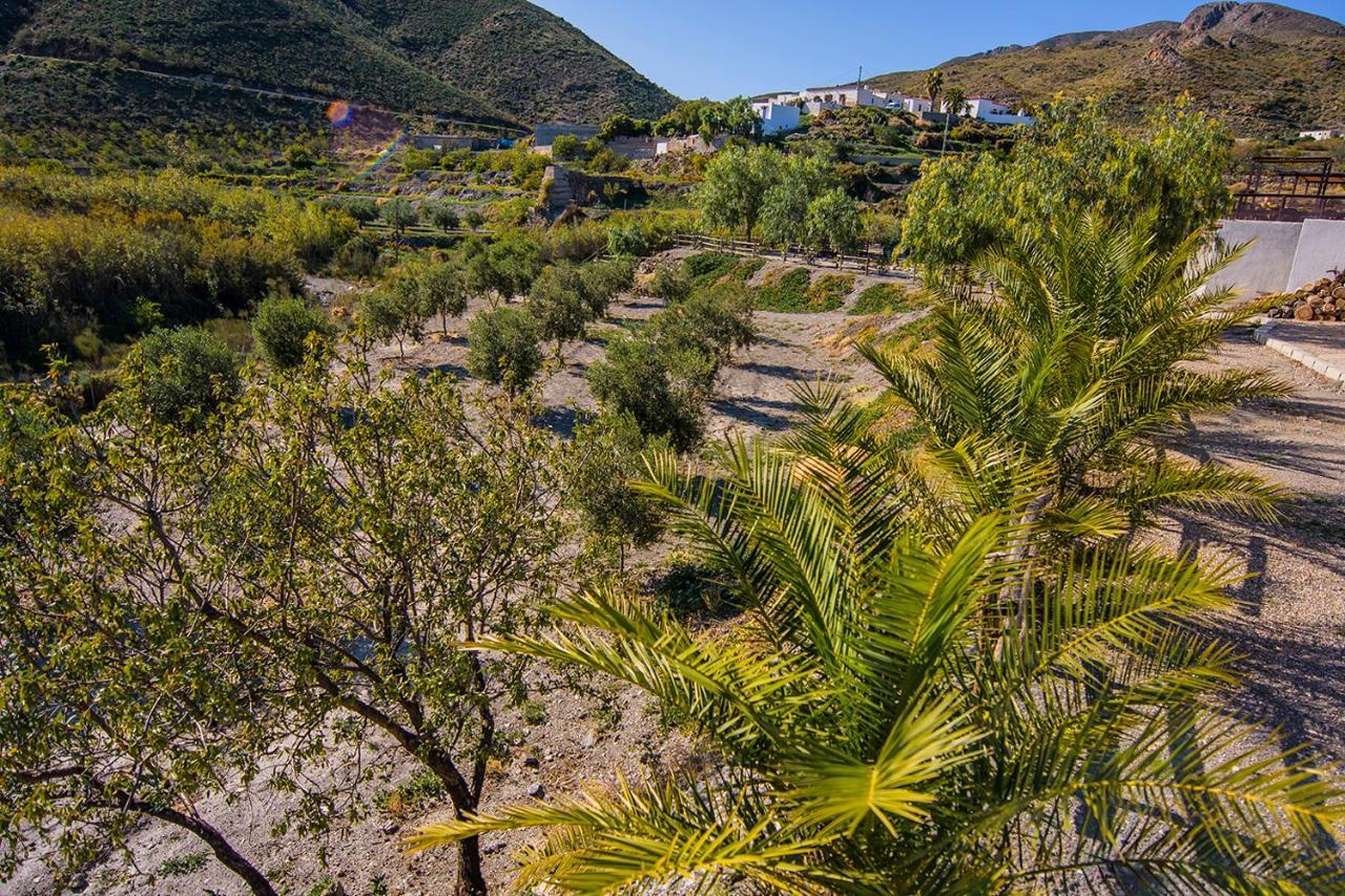 Cortijo 4 Elementos Bed and Breakfast Lucainena de las Torres Exteriör bild